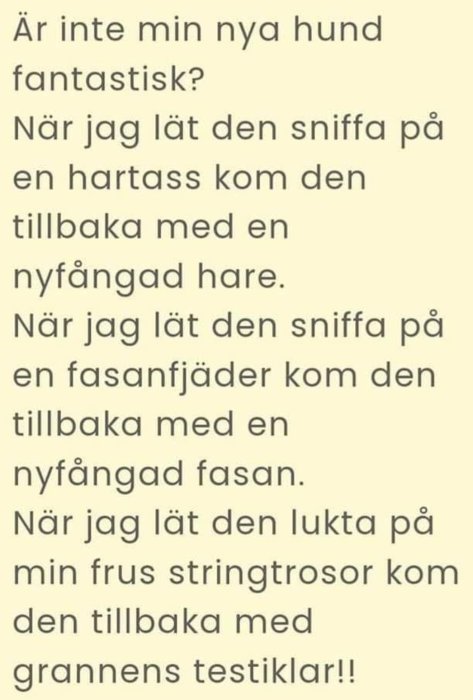 Text på skärm med humoristisk anekdot om en hund som hämtar olika föremål.