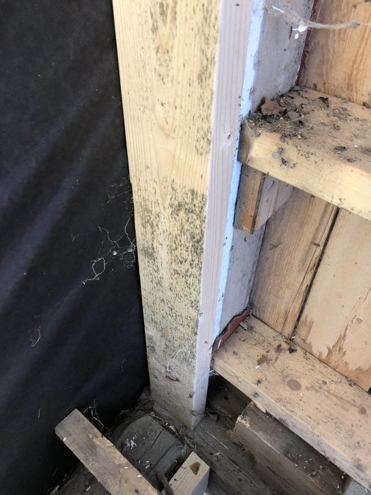 Träregel med mögel och fuktskador intill svart isoleringsduk och trätrappsteg.