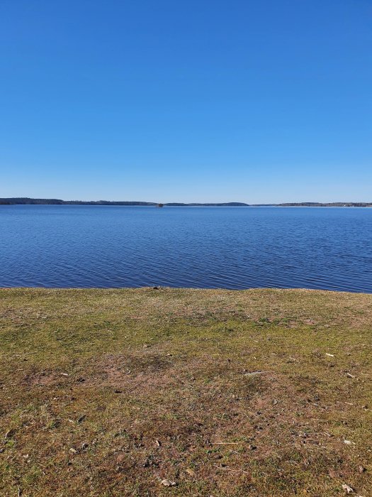 Naturskön utsikt över en stilla sjö med klarblå himmel på en solig dag.