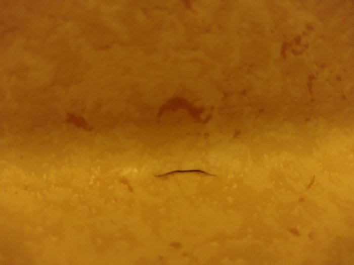 Närbild på spricka i gul våtrumsmatta vid kanten mellan golv och vägg.