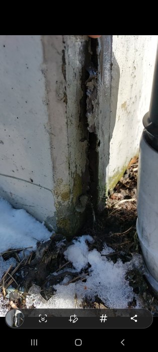 Skadad mjukfog och flagnande betong på husets sockel med synlig sprickbildning.