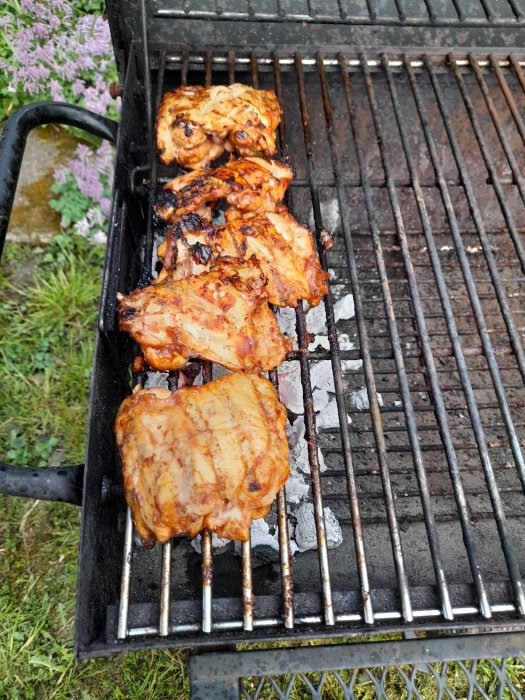 Kycklinglårfileer som grillas på en kolgrill, med blommande lavendel i bakgrunden.