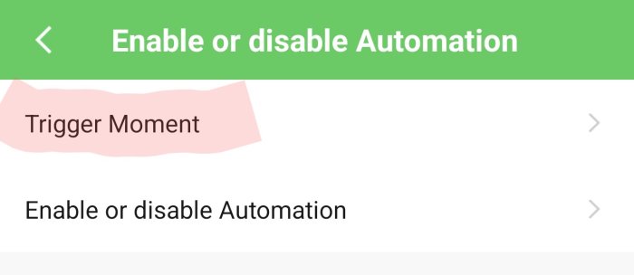 Skärmbild av en app för automation med alternativen "Trigger Moment" och "Enable or disable Automation".