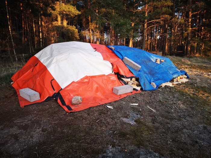 En stor vedhög täckt med presenningar i rött, vitt och blått utomhus vid skogskant.