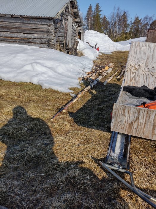 Skugga av en person och en hund bredvid nedkapade trädgrenar på en sjötomt med smältande snö och en stuga i bakgrunden.