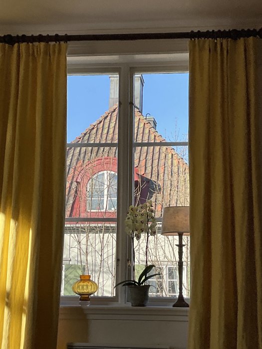 Vy genom ett tre-luftsbågefönster i två våningar med utsikt över tegeltak, gardiner och krukväxter på fönsterbrädan.