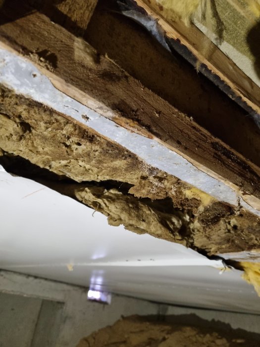 Genomruttna bjälklagsvirke och korroderade tunna metallskivor underifrån i en krypgrund.