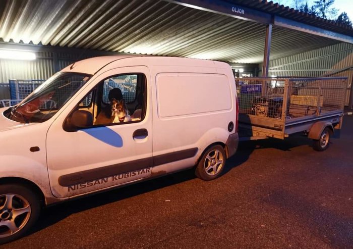 Vit Nissan Kubistar med släpvagn och hund som tittar ut från förarsidan.