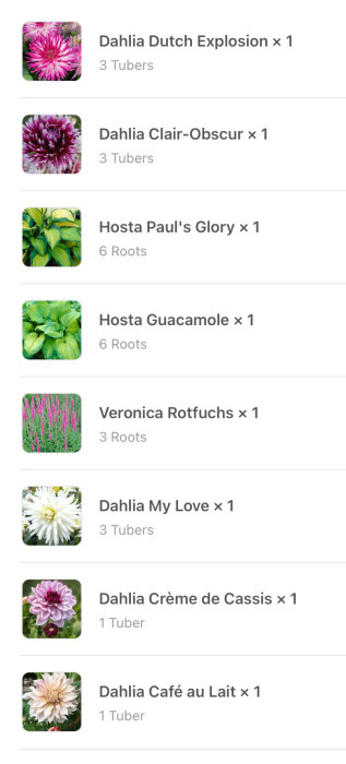 Beställningslista med bilder av blommor och växter inklusive dahlior och hostor med namn och antal rötter eller knölar.