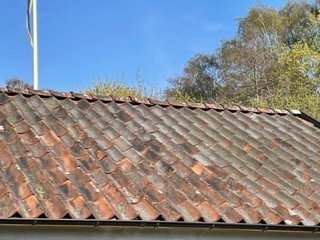 Gäststugans tegeltak med svart påväxt över de röda pannorna under en klarblå himmel.