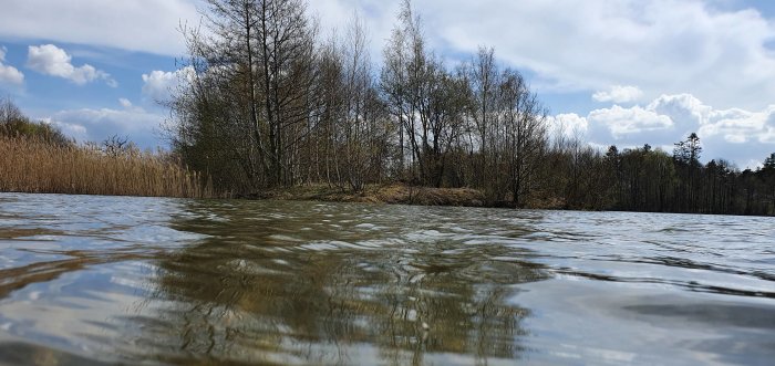 Vattennära perspektiv på en sjö med skog och vass mot molnig himmel.
