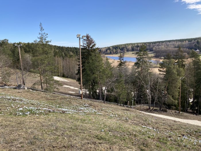Vy över en sluttning med tidig vårblomning och träd framför en sjö.
