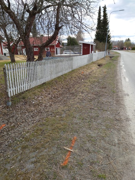 Trädgård före renovering med vitt staket, syrenträd och markeringar på marken.