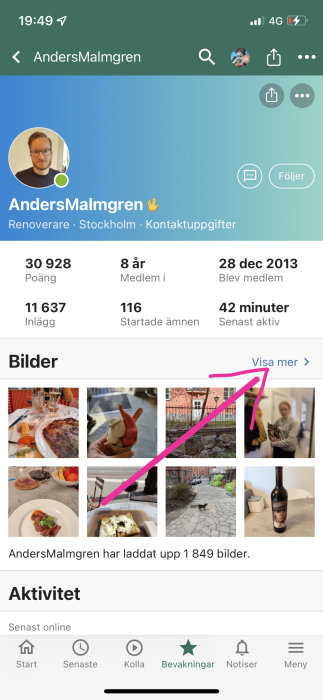Mobilskärmbild av användarprofil med statistik, bilder och en "Visa mer"-knapp.