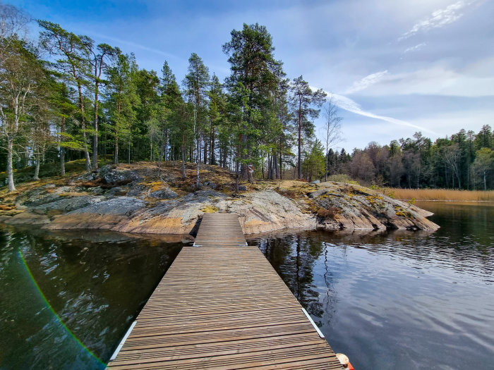 Vy från en träbrygga som leder till klippig ö med tallar under en klar himmel.