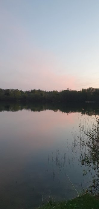 Bild på en lugn sjö vid skymningen med spegelbild av träd och pastellfärgad himmel.