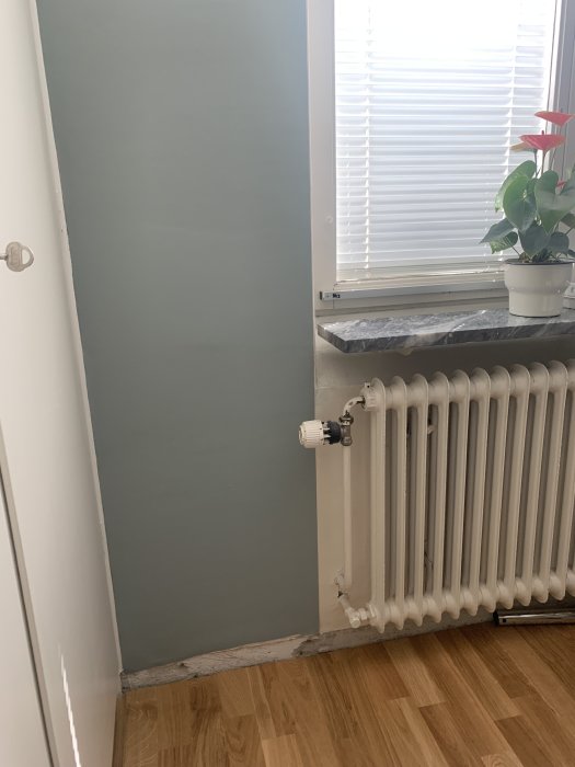 Radiator och fönster i äldre lägenhet med återgiven fråga om placering av rör och elinstallationer.