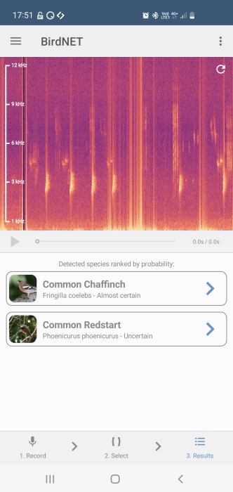 Skärmavbild från BirdNET-app som visar sonogram av fågelläten, identifiering av Bofink och Rödstjärt.