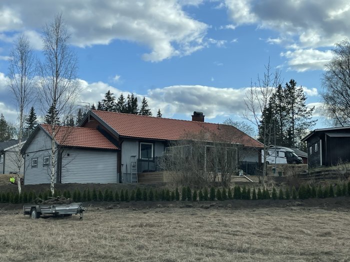 Nyligen planterade thujor framför ett hus med röd takpannor, mot bakgrund av molnig himmel.