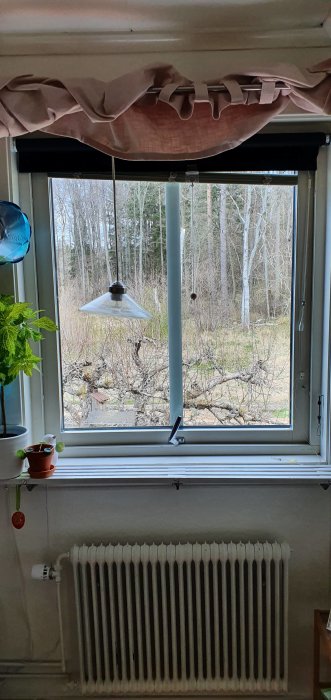 20220426_115819.jpg