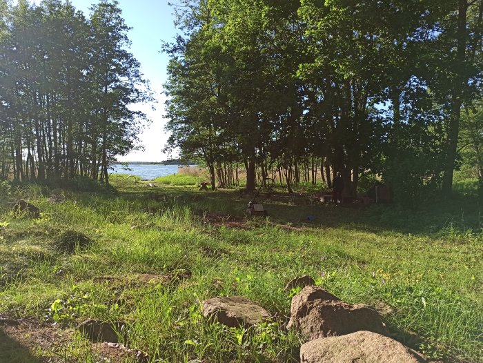 Somrig utsikt över en strandtomt med gräs och träd, möjlig plats för bastubygge vid vattnet.