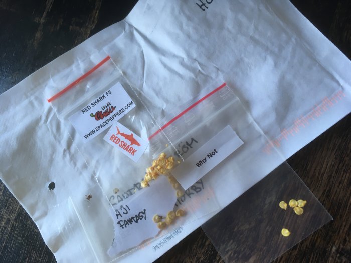 Flera små påsar med chilifrön på ett brev, pris för chili-i-en-burk-tävling.