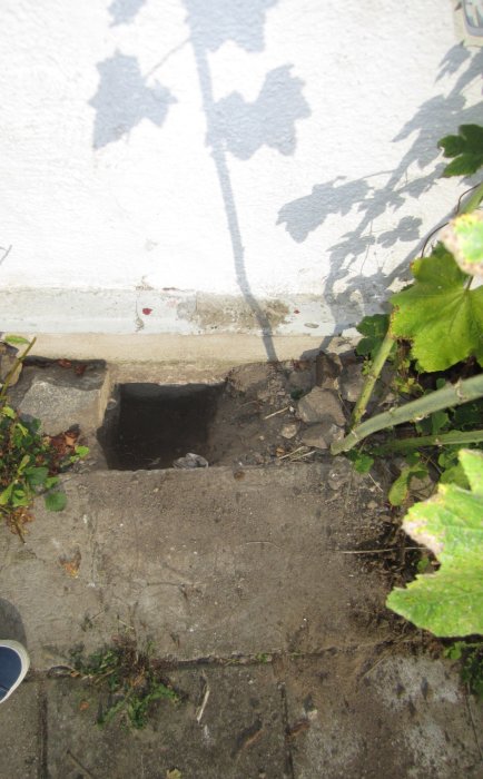 3. Väst ovanifrån.jpg