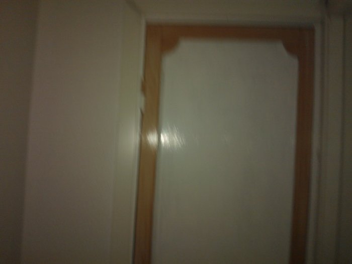 WP_000450.jpg