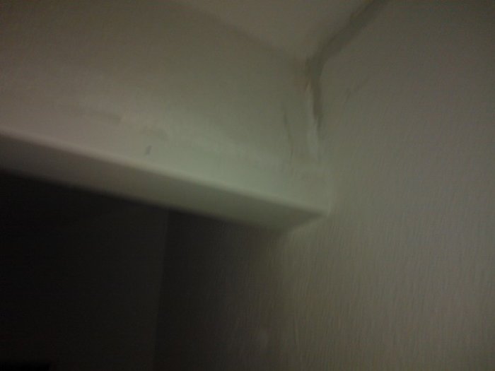 WP_000452.jpg