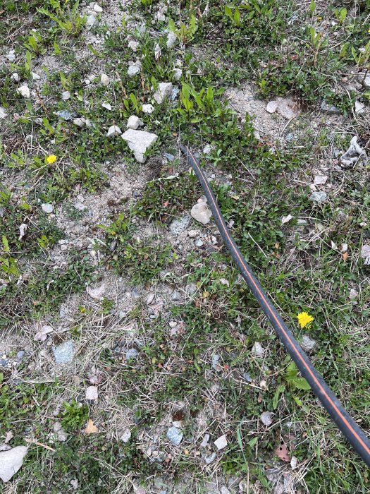 Svart kabel som sticker ut ur en gräsbevuxen och stenig slänt.
