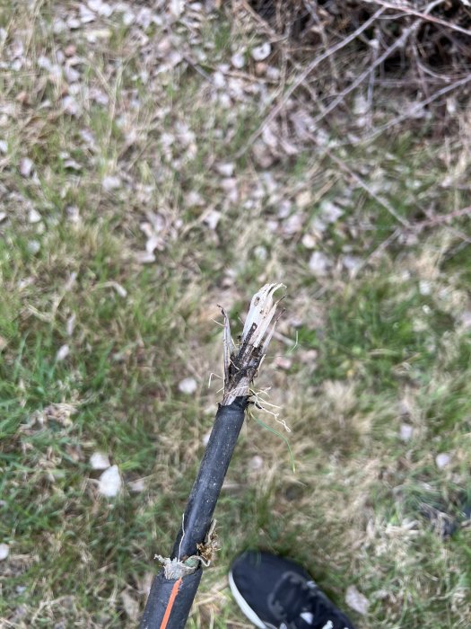 Avsliten kabel som sticker ut ur marken med synliga ledningar och isolering.