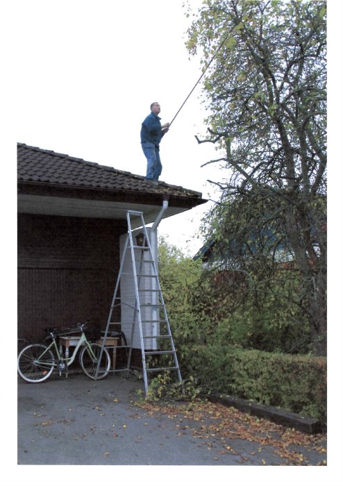 Person på tak som rensar närliggande träd med sekatör, stege och cykel syns nedanför.