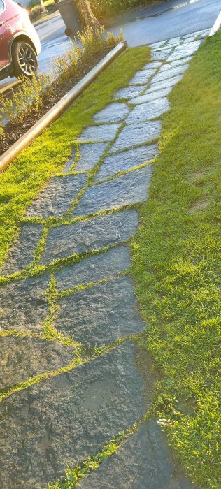 Ojämn stenlagd gångväg med upp till 5 cm skarvar mellan stenplattor omgivna av gräs.