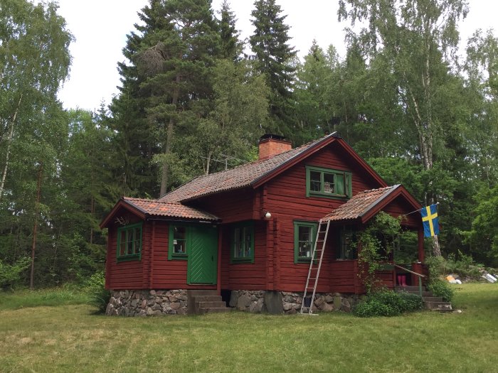 Röd stuga från 50-talet med gröna fönsterluckor, omgiven av skog och svensk flagga.