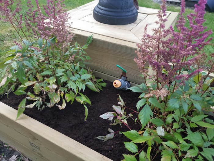 Nyanlagd blomsterrabatt med växter och bevattningssystem vid träkonstruktion.