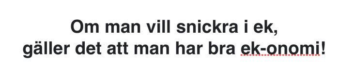 Text med ordleken "Om man vill snickra i ek, gäller det att man har bra ek-onomi!" markerad med rött streck under.