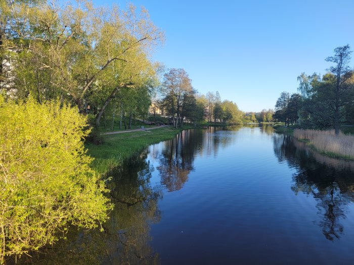 En lugn flod omgiven av gröna träd och buskar med reflektioner i vattnet under en klarblå himmel.