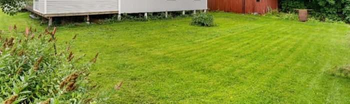 Trädgård med gräsmatta framför hus med tillbyggnad på plintgrund och intilliggande garage.