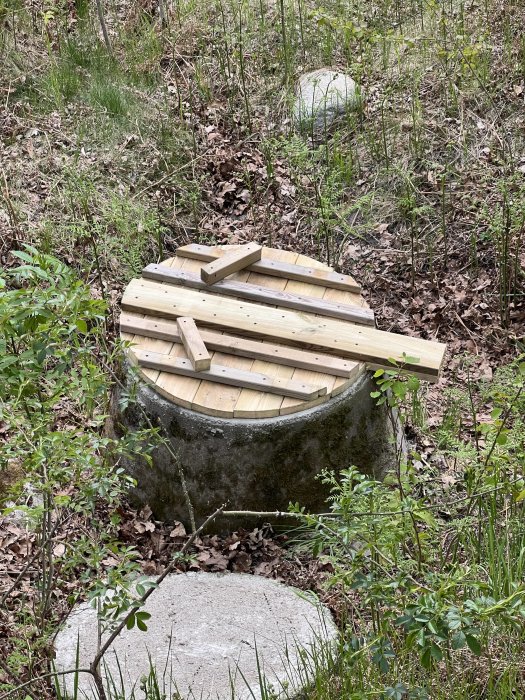 Nybyggt lock av tryckt virke på en betongbrunn i en skogsmark, med ett grindgångjärn och utstick.