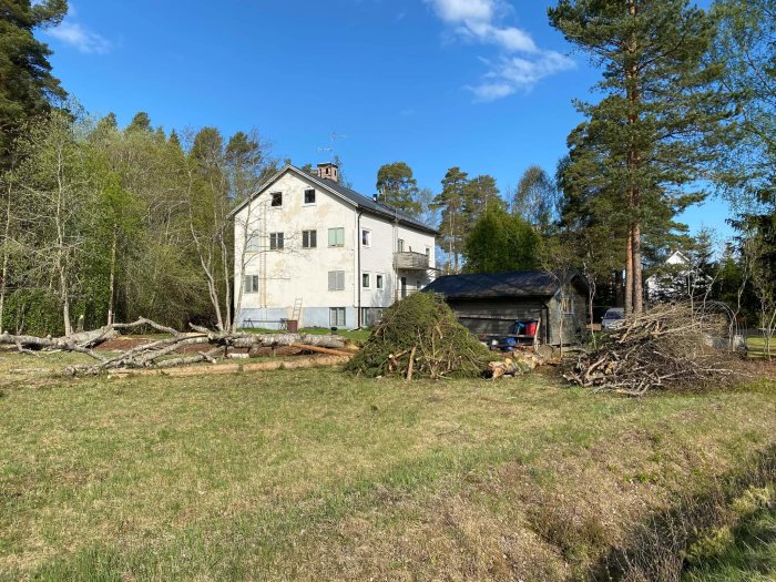 Trädgård med fällda träd och grenar framför en vit byggnad och ett mindre svart skjul, klar himmel ovan.