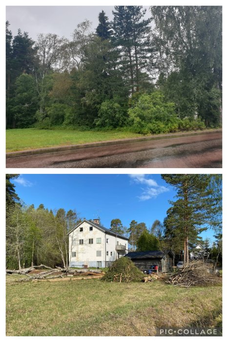 Före- och efterbilder av en tomtröjning, med tät skog före och en synlig byggnad efter röjningen.