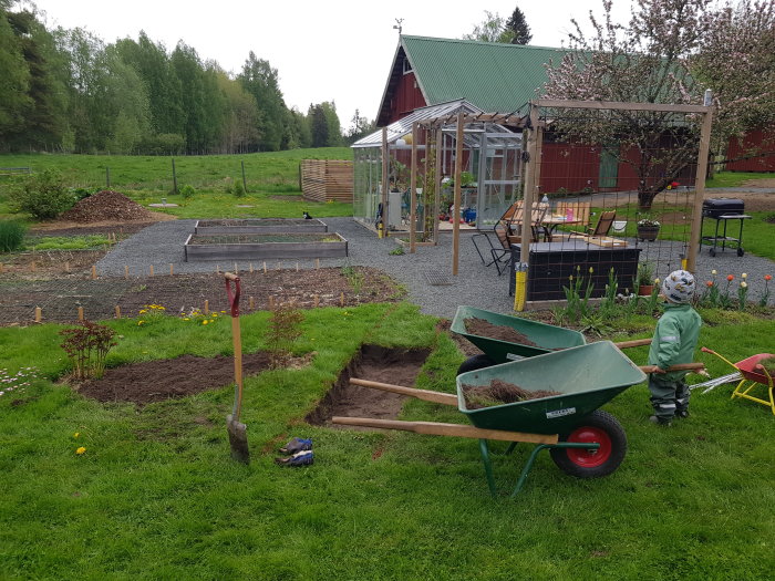 Trädgård med nyanlagda rabatter, växthus, hjulburen med jord och barn med leksakstraktor.