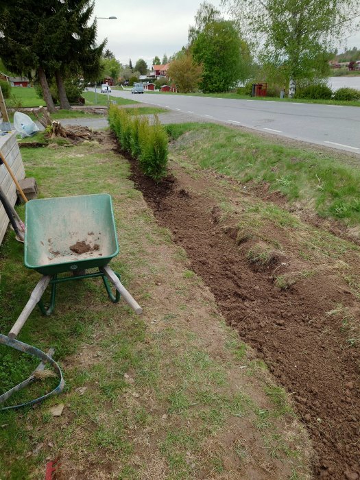 Nyplanterad häcklängs med grävd jordremsa längs en väg, med trädgårdskärra och skottkärra i förgrunden.