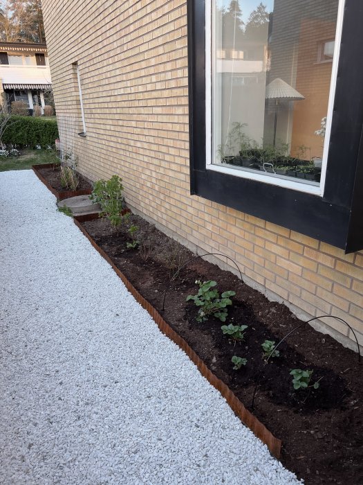 Radhus från 70-talet med synlig rund ingångsplatta till krypgrund längs med en nyplanterad blomsterrabatt.