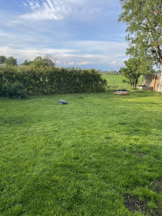 Robotic lawn mower named 'Sven' on a redesigned garden with a newly built deck in the background.