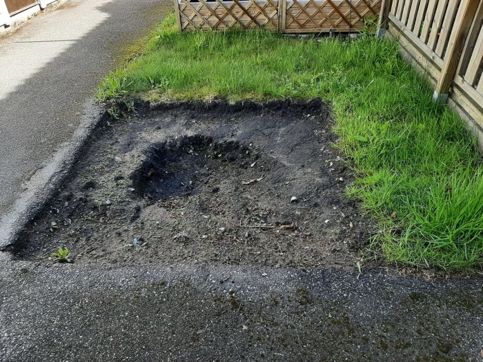 Grävd plats i gräsmatta för trädsplantering, grå/blå lerjord med synligt berg, omgiven av staket och väg.