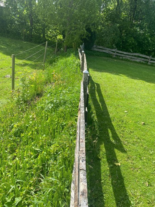 Gammal trästaket med varierande kvalité och raka samt vridna plank längs en grön äng.