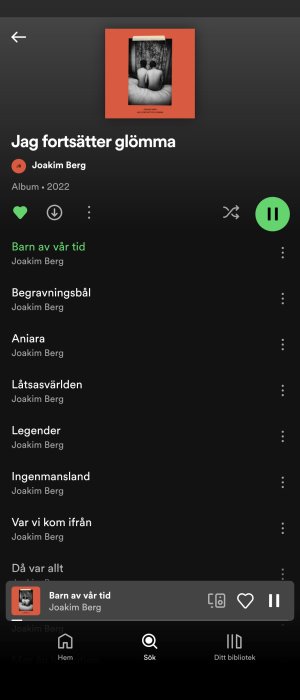 Skärmbild av musikspelarapp med Joakim Bergs album "Jag fortsätter glömma" och spellista.