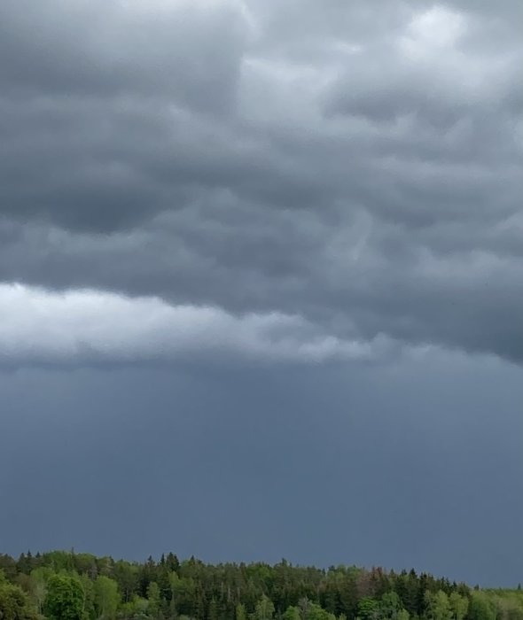 Mörka, hotfulla moln över en skogslinje, tecken på en annalkande storm.