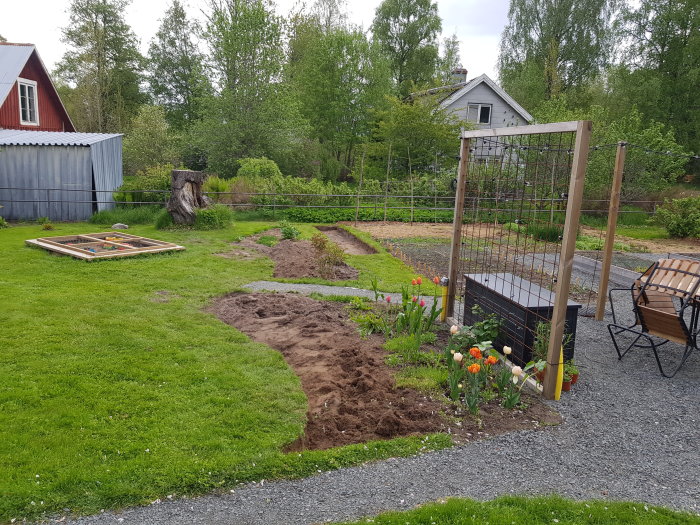 Trädgård med nykantade rabatter och påbörjad gångväg mellan blomsterrabatt och grönsaksland.